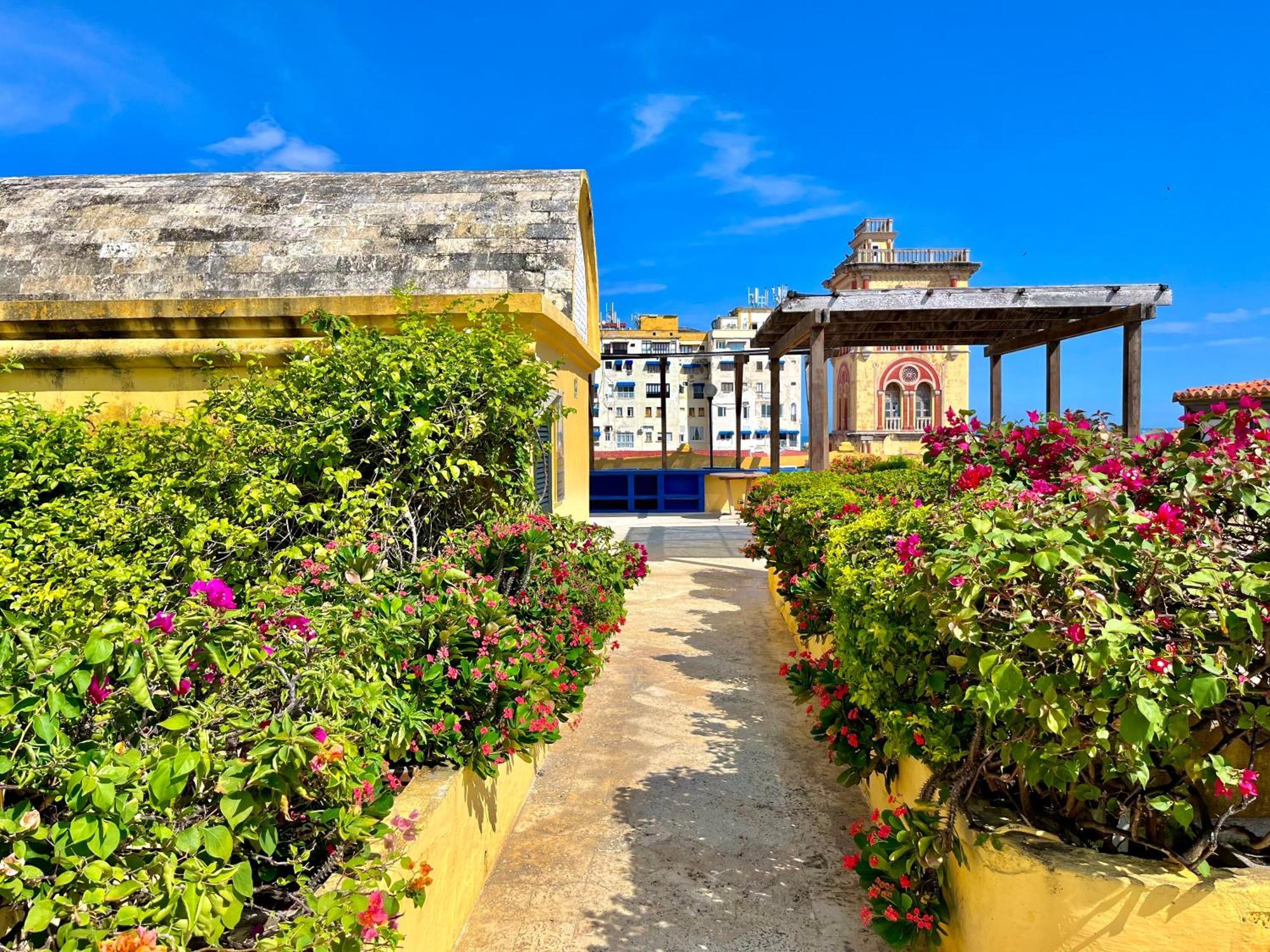 By Calamari Homes - El Porvenir 401 Walled