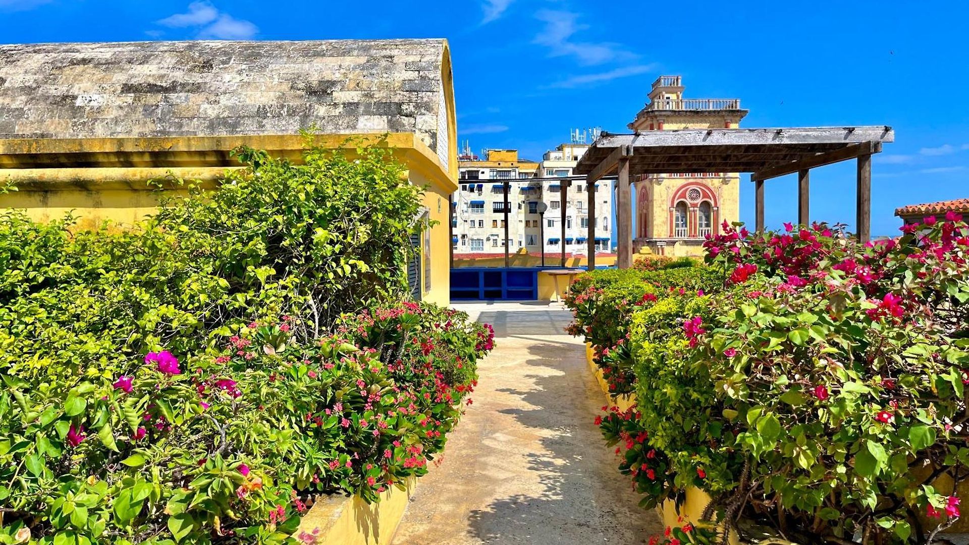 By Calamari Homes - El Porvenir 401 Walled
